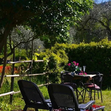 Daire Gorgeous 1 Double Bedroom