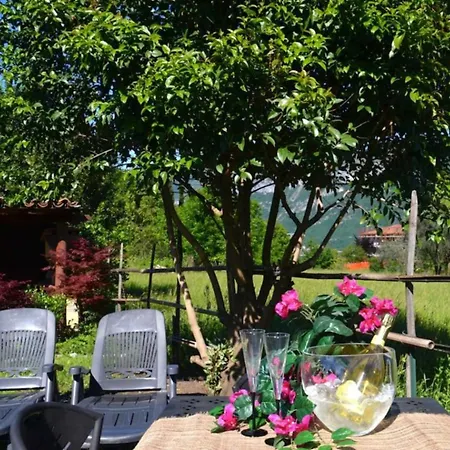 Gorgeous 1 Double Bedroom Daire *
